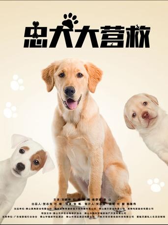 Poster of 忠犬大营救