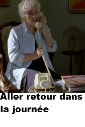 Poster of Aller retour dans la journée