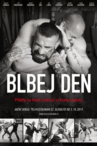 Poster of Blbej den