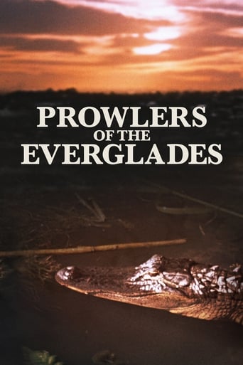 Poster of Prowlers of the Everglades