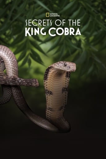 Poster of Secrets of the King Cobra