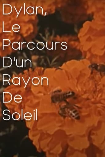 Poster of Dylan, le parcours d'un rayon de soleil