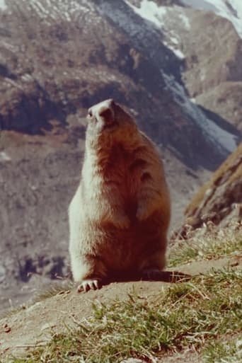 Poster of Marmot