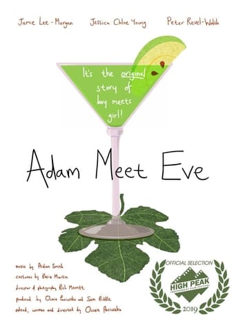 Poster of Adam Meet Eve