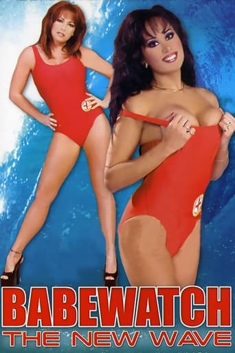 Poster of Babewatch 13