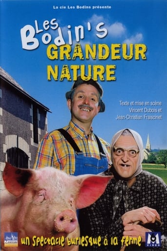 Poster of Les Bodin's - Grandeur Nature