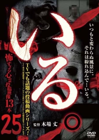 Poster of 「Iru.」~ Kowasugiru Tōkō Eizō 13-hon ~ Vol.25