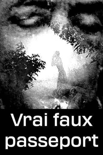 Poster of Vrai faux passeport