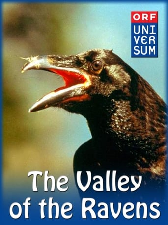 Poster of Valley of the Ravens