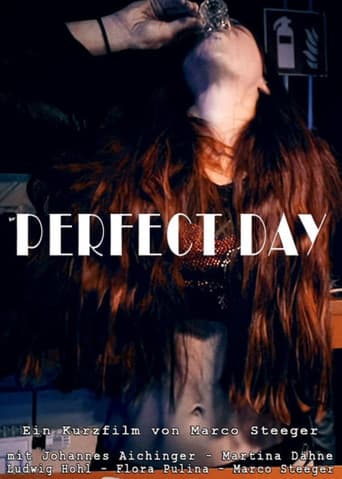 Poster of Perfect Day