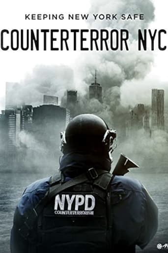 Poster of Counterterror NYC