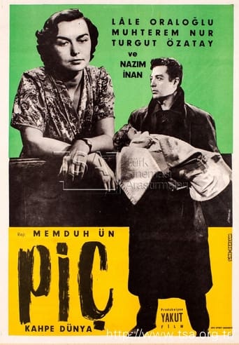 Poster of Piç