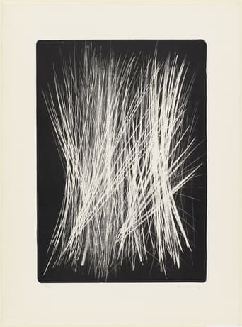 Poster of Visite à Hans Hartung