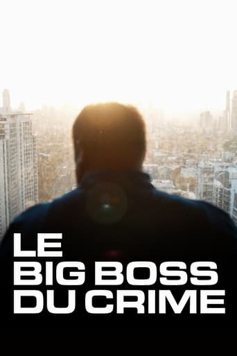 Poster of The Big Boss: A 21st Century Criminal