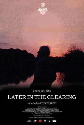 Poster of Later in the Clearing