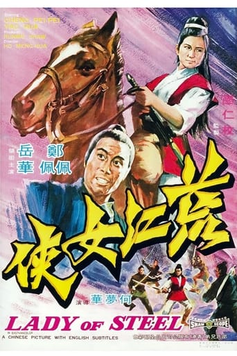 Poster of Lady of Steel