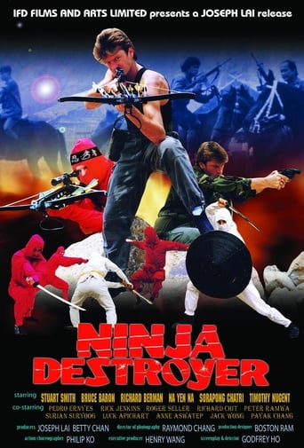 Poster of Ninja Destroyer