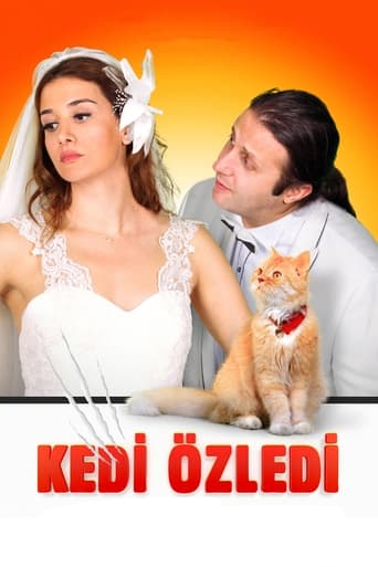 Poster of Kedi Özledi