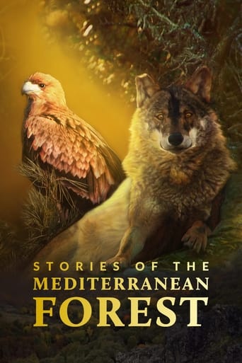 Portrait for Stories of the Mediterranean Forest - Season 1