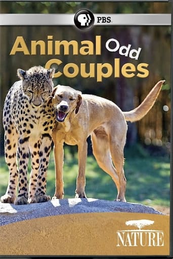 Poster of Animal Odd Couples