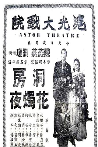 Poster of The Wedding Night