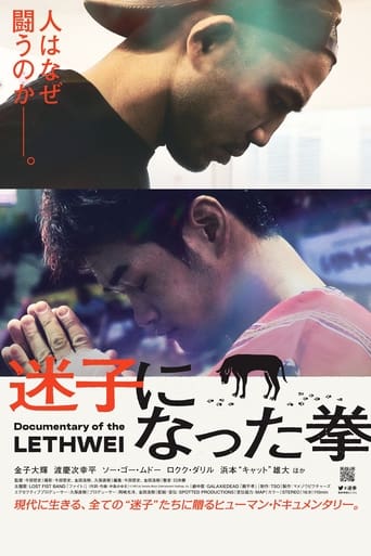 Poster of Lost Fist