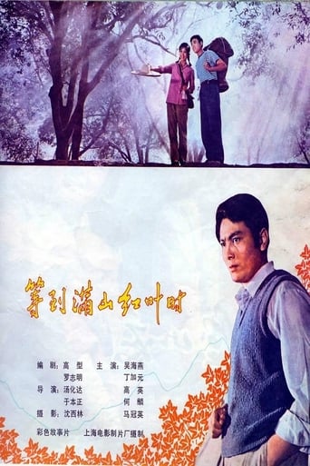 Poster of 等到满山红叶时