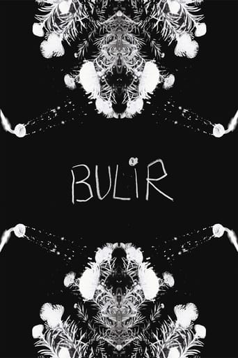 Poster of BULIR