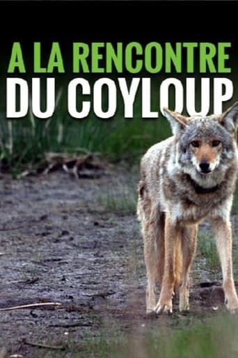 Poster of A la rencontre du coyloup