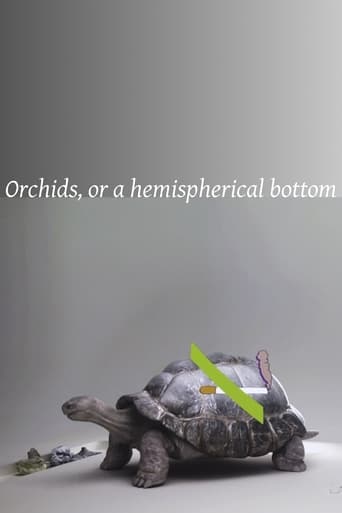 Poster of Orchids, or a hemispherical bottom