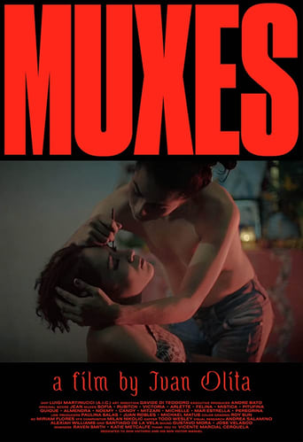 Poster of Muxes