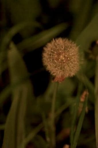 Poster of Night Garden