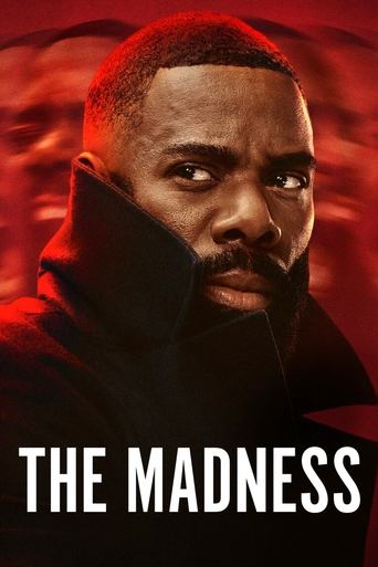 Poster of The Madness