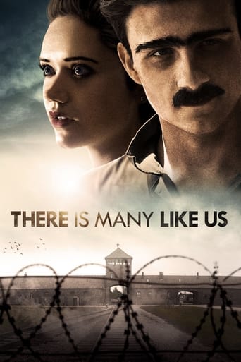 Poster of There Is Many Like Us