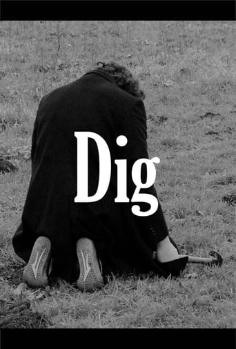 Poster of Dig