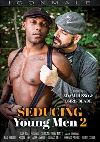 Poster of Seducing Young Men 2