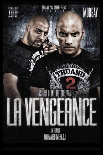 Poster of The Vengeance