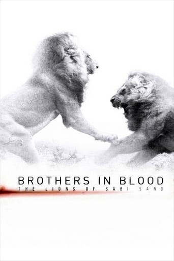 Poster of Brothers in Blood: The Lions of Sabi Sand