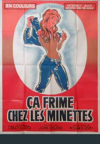 Poster of Ça frime chez les minettes