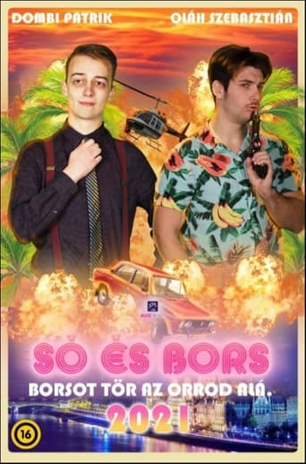 Poster of Só és Bors