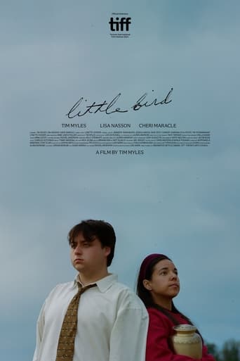 Poster of Little Bird