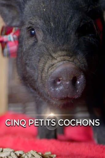 Poster of Cinq petits cochons