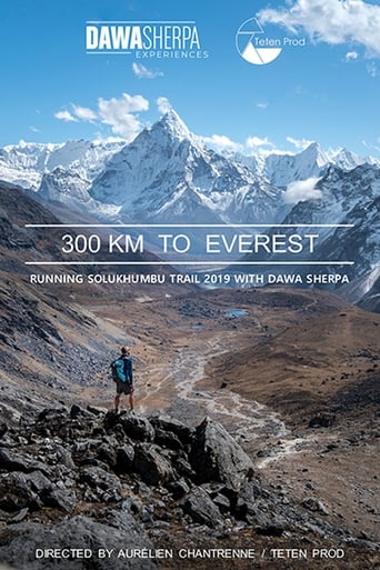 Poster of 300 KM TO EVEREST