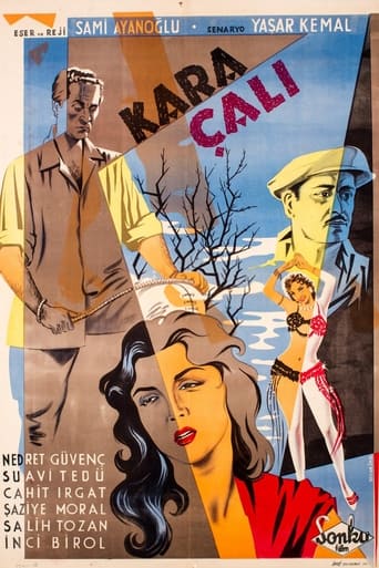 Poster of Kara Çalı