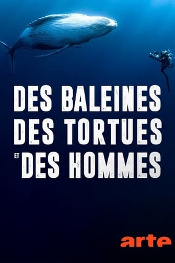 Poster of Des baleines, des tortues et des hommes