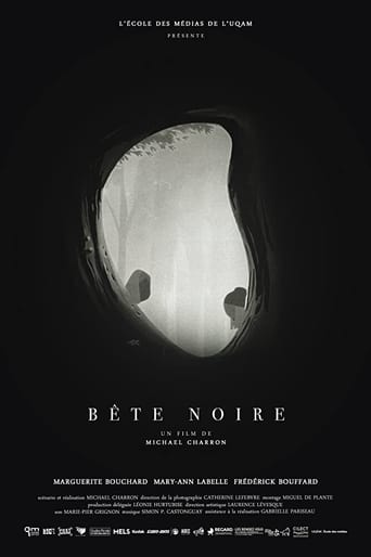 Poster of Bête noire