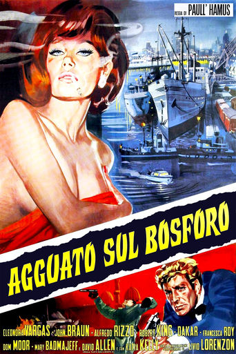 Poster of Agguato sul Bosforo