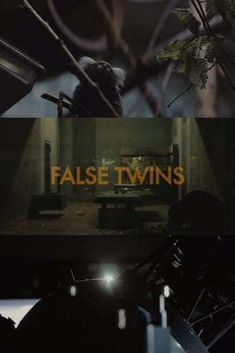 Poster of False Twins