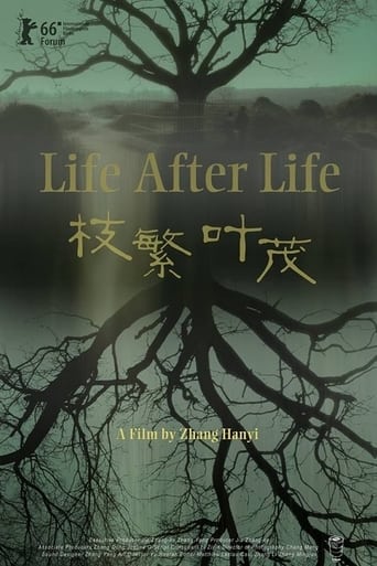 Poster of Life After Life