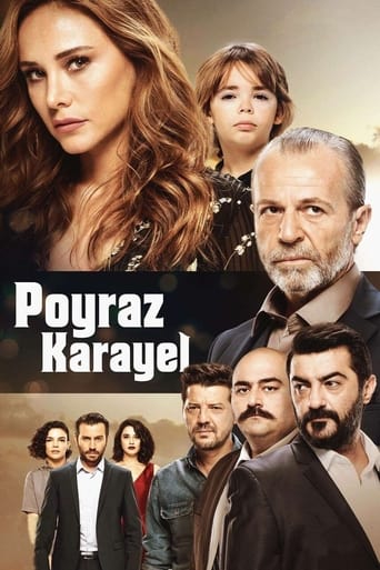 Poster of Poyraz Karayel